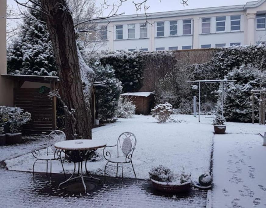 City Appartement Mit Garten, Zentral Und Trotzdem Ruhig Cottbus Exterior foto